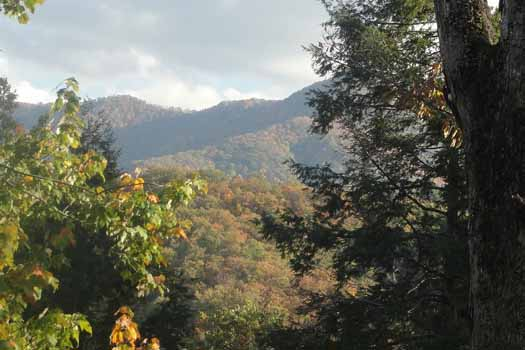 Autumn view of the Smoky Mountains at Precious View, a 1 bedroom cabin rental located in Gatlinburg
