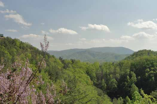 Spring mountain view at Sunset Vista View, a 1 bedroom cabin rental located in Pigeon Forge