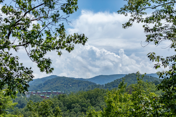 Mountain view during the summer at Loving You, a 1 bedroom cabin rental located in Pigeon Forge