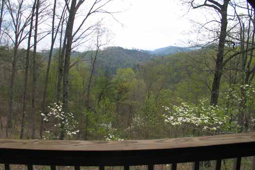 Smoky Mountain view from Love Me Tender, a 1 bedroom cabin rental located in Pigeon Forge