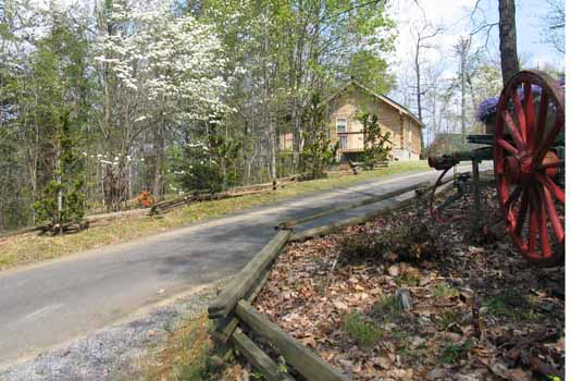Trees surrounding at Forever Yours, a 1-bedroom cabin rental located in Pigeon Forge
