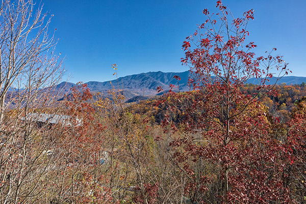 Views of the Smoky Mountains in the late fall at Chalet Mignon, an 8-bedroom cabin rental located in Gatlinburg