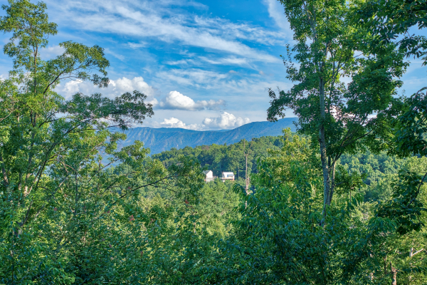 Mountain view framed by trees at Bushwood Lodge, a 3-bedroom cabin rental located in Gatlinburg