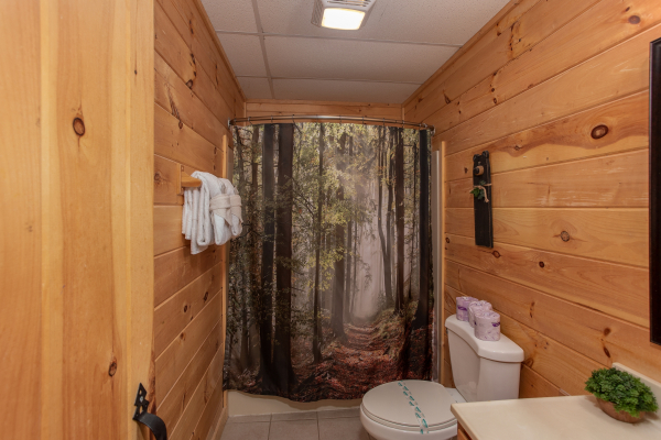 Bathroom with nature decor at A View for You, a 1 bedroom cabin rental located in Pigeon Forge