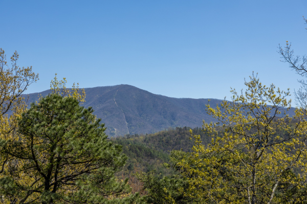 Mountain view at Grand Timber Lodge, a 5-bedroom cabin rental located in Pigeon Forge