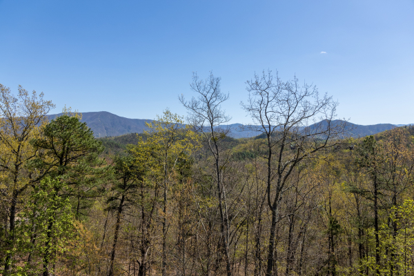 View from hot tub at Grand Timber Lodge, a 5-bedroom cabin rental located in Pigeon Forge