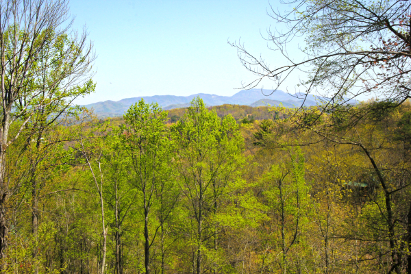 Mountain view at Makin' Honey, a 1 bedroom cabin rental located in Pigeon Forge
