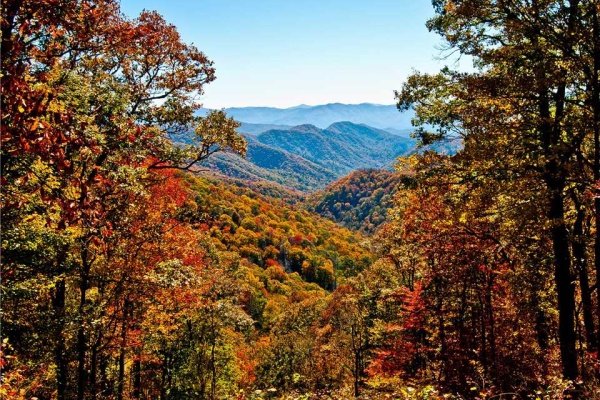 Fall colors and mountain views at Wild at Heart, a 1 bedroom cabin rental located in Gatlinburg