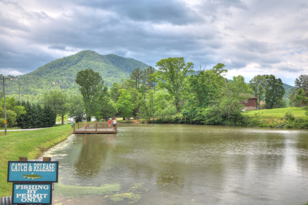 Catch and release pond for guests at Endless View, a 4 bedroom cabin rental located in Pigeon Forge