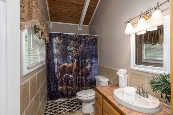 Bathroom at Forever Country, a 3 bedroom cabin rental located in Pigeon Forge