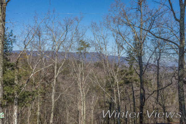 Winter view through the trees at Forever Country, a 3 bedroom cabin rental located in Pigeon Forge