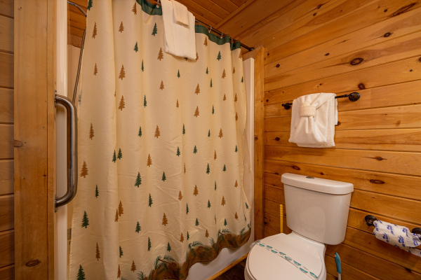 Additional shower at Eagle's Nest, a 2 bedroom cabin rental located in Sevierville