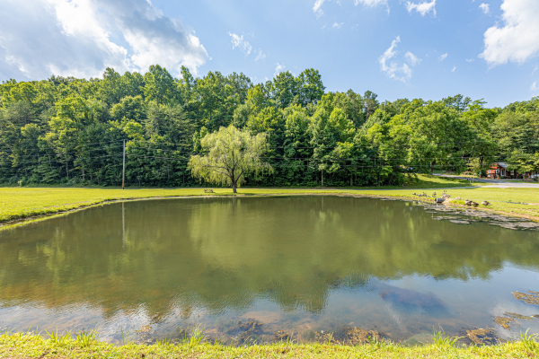 Sky Harbor Pond at A Bear on the Ridge, a 2 bedroom cabin rental located in Pigeon Forge