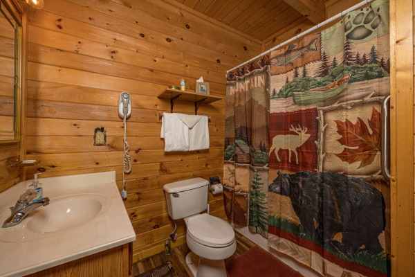 Bathroom at Eagle's Bluff, a 2 bedroom cabin rental located in Douglas lake