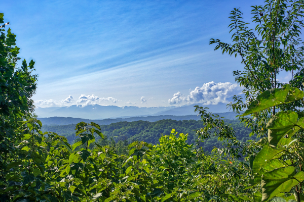 mountain views from angel's majestic view a 3 bedroom cabin rental located in pigeon forge