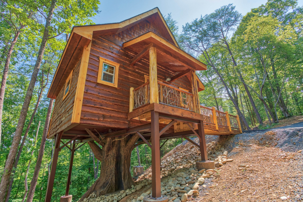 Out on a Limb, a 1 bedroom cabin rental located in Gatlinburg