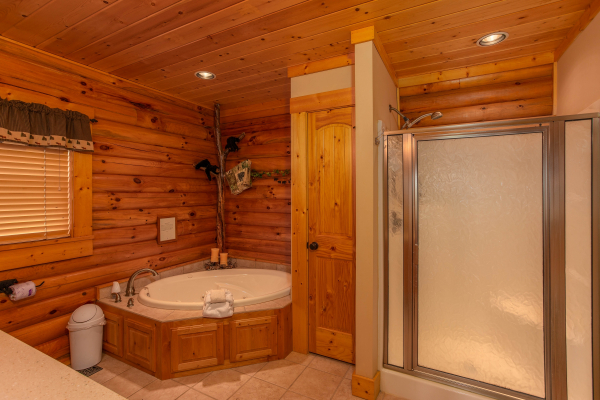 Bathroom with a jacuzzi tub and separate shower at I Do Love Views, a 3 bedroom cabin rental located in Pigeon Forge