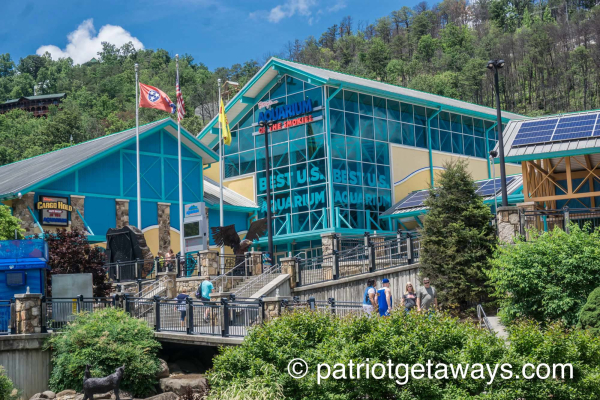 Ripley's Aquarium of the Smokies is near Paws on the Porch, a 2 bedroom cabin rental located in Gatlinburg