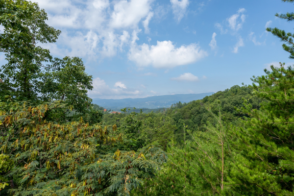 Trees and a ridgeline view at American Beauty, a 2 bedroom cabin rental located in Pigeon Forge