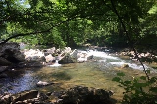 Nearby stream at Moonshiner's Ridge, a 1-bedroom cabin rental located in Pigeon Forge