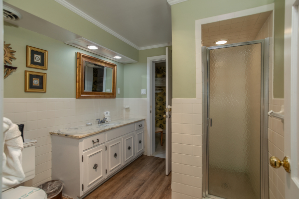 Bathroom with a shower stall at Best View Ever! A 5 bedroom cabin rental in Pigeon Forge
