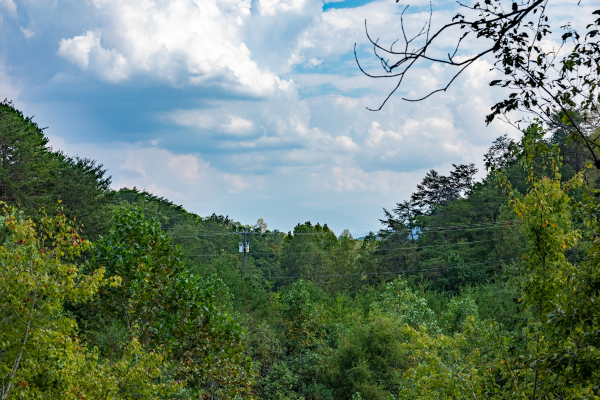 Wooded view at Misty Mountain Sunrise, a 3 bedroom cabin rental located in Pigeon Forge