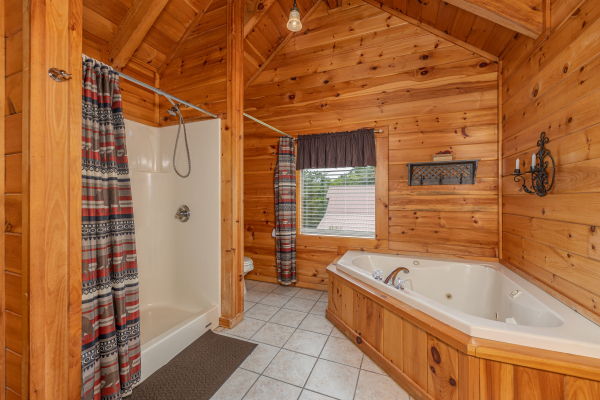 Bathroom with walk in shower and jacuzzi at Logged Inn, a 3 bedroom cabin rental located in Pigeon Forge