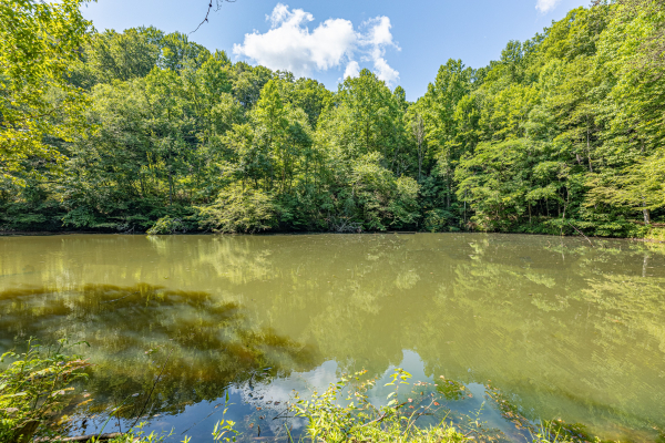 Sky harbor pond near Moonlit Pines, a 2 bedroom cabin rental located in Pigeon Forge