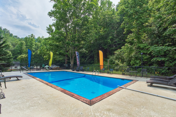 Pool for guests at Black Bears & Biscuits Lodge, a 6 bedroom cabin rental located in Pigeon Forge