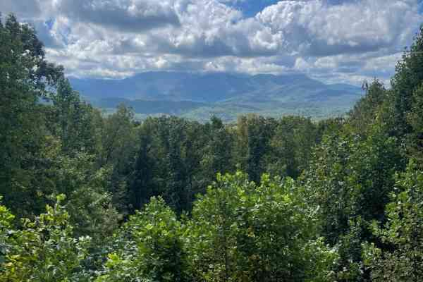 View From The Deck at Grizzly's Den, a 5 bedroom cabin rental located in gatlinburg