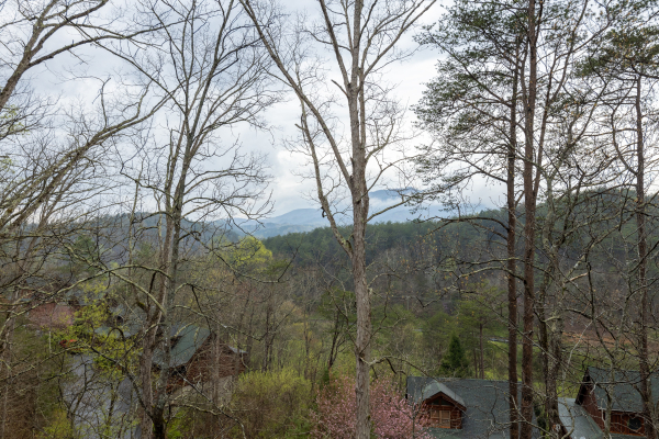 Winter view at Absolutely Wonderful, a 2 bedroom cabin rental located in Pigeon Forge