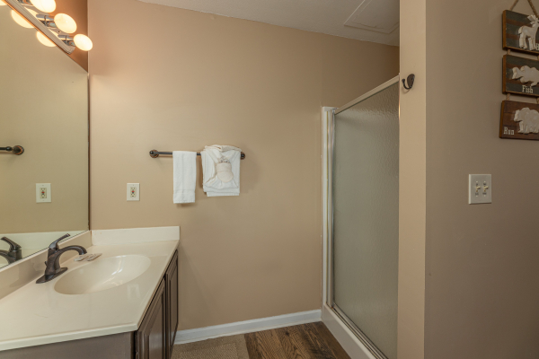 Lower level shower at High In The Smokies, a 2 bedroom cabin rental located in Gatlinburg