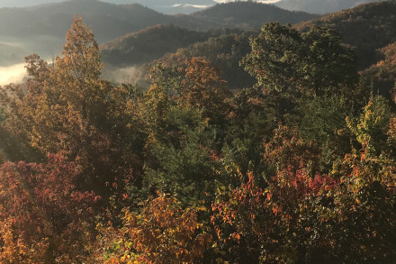 The sunrise at Million Dollar View, a 2 bedroom cabin rental located in Pigeon Forge