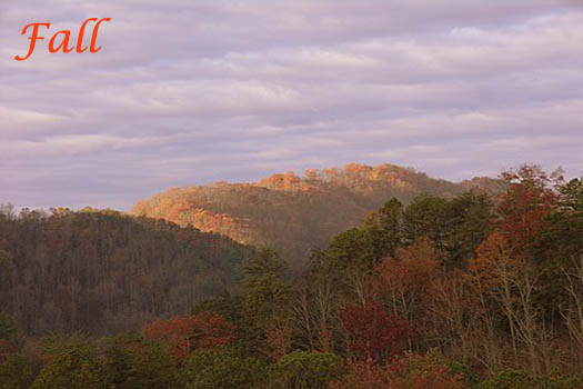 Fall colors at R & R Hideaway, a 1 bedroom cabin rental located in Pigeon Forge
