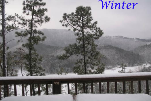 Snow in the Smoky Mountains at R & R Hideaway, a 1 bedroom cabin rental located in Pigeon Forge