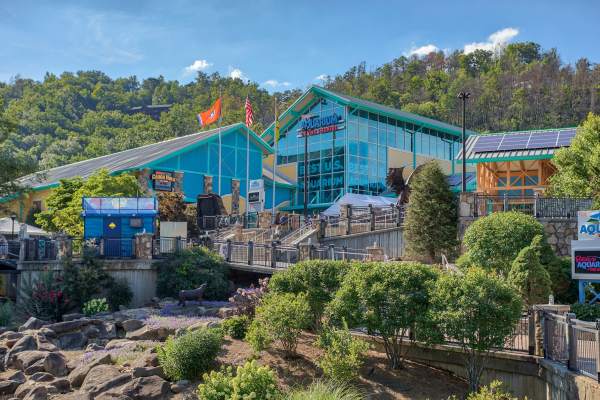 Ripley's Aquarium of the Smokies is near Shiloh, a 3 bedroom cabin rental located in Gatlinburg