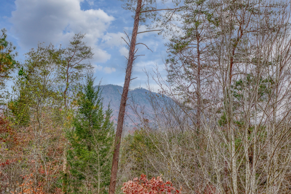 Bluff Mountain view at Bearly in the Mountains, a 5-bedroom cabin rental located in Pigeon Forge
