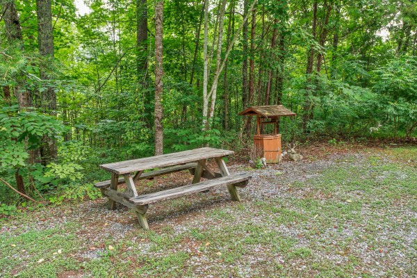 Picnic table in the yard at Aw Paw's Place, a 1-bedroom cabin rental located in Pigeon Forge