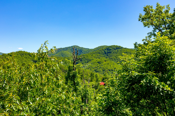 View at Moonbeams & Cabin Dreams, a 3 bedroom cabin rental located in Pigeon Forge