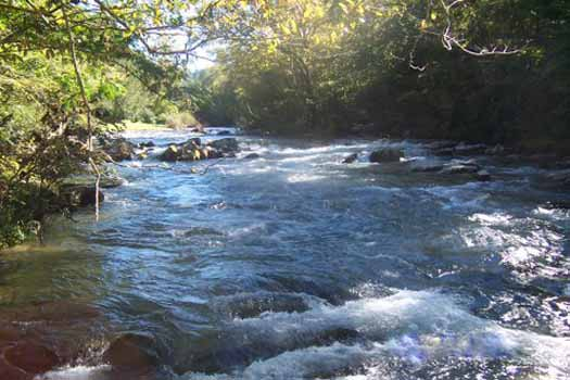 River running at Dolly's Adorable River Cottage, a 3 bedroom cabin rental located in Pigeon Forge