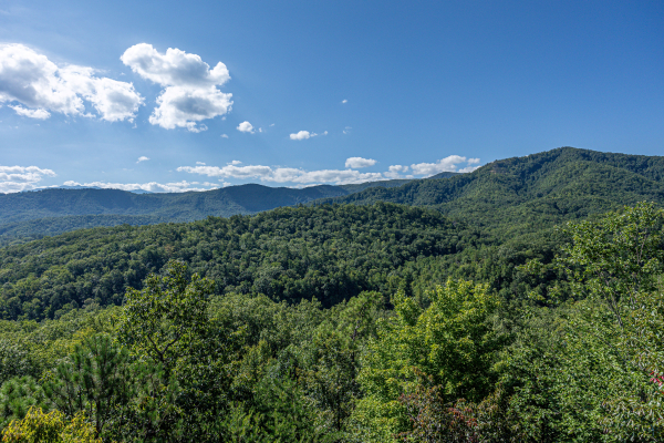 Horse'n Around - A Pigeon Forge Cabin Rental