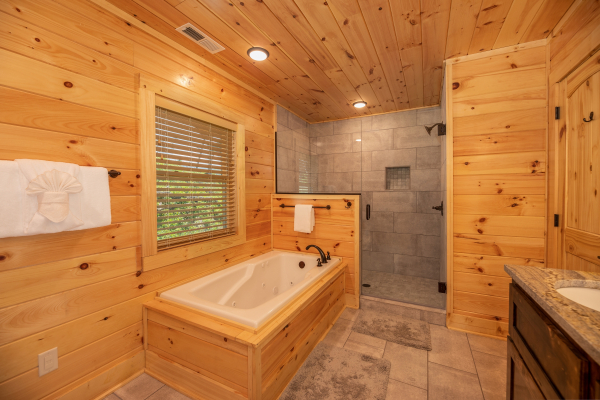 Jacuzzi and separate glassed in shower at Elk Horn Lodge, a 5 bedroom cabin rental located in Gatlinburg