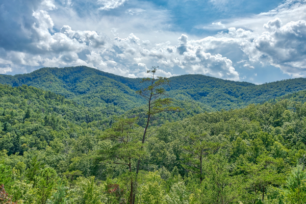 Mountain views at Four Seasons Lodge, a 3-bedroom cabin rental located in Pigeon Forge