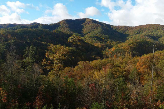 View of the smoky mountains from at Four Seasons Lodge, a 3-bedroom cabin rental located in Pigeon Forge